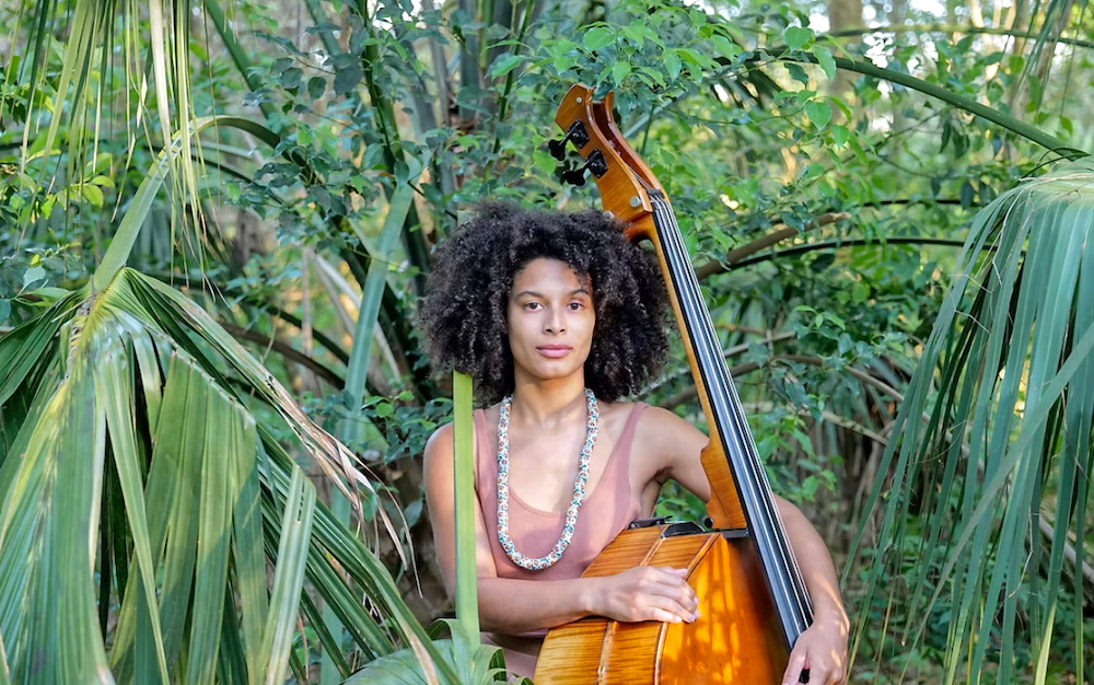 livable-new-orleans-culture-violinist